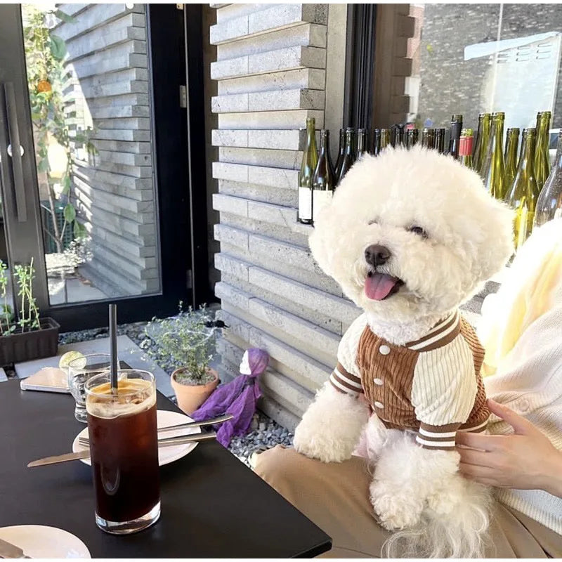 Chaqueta de Punto con Gorrita para Mascotas