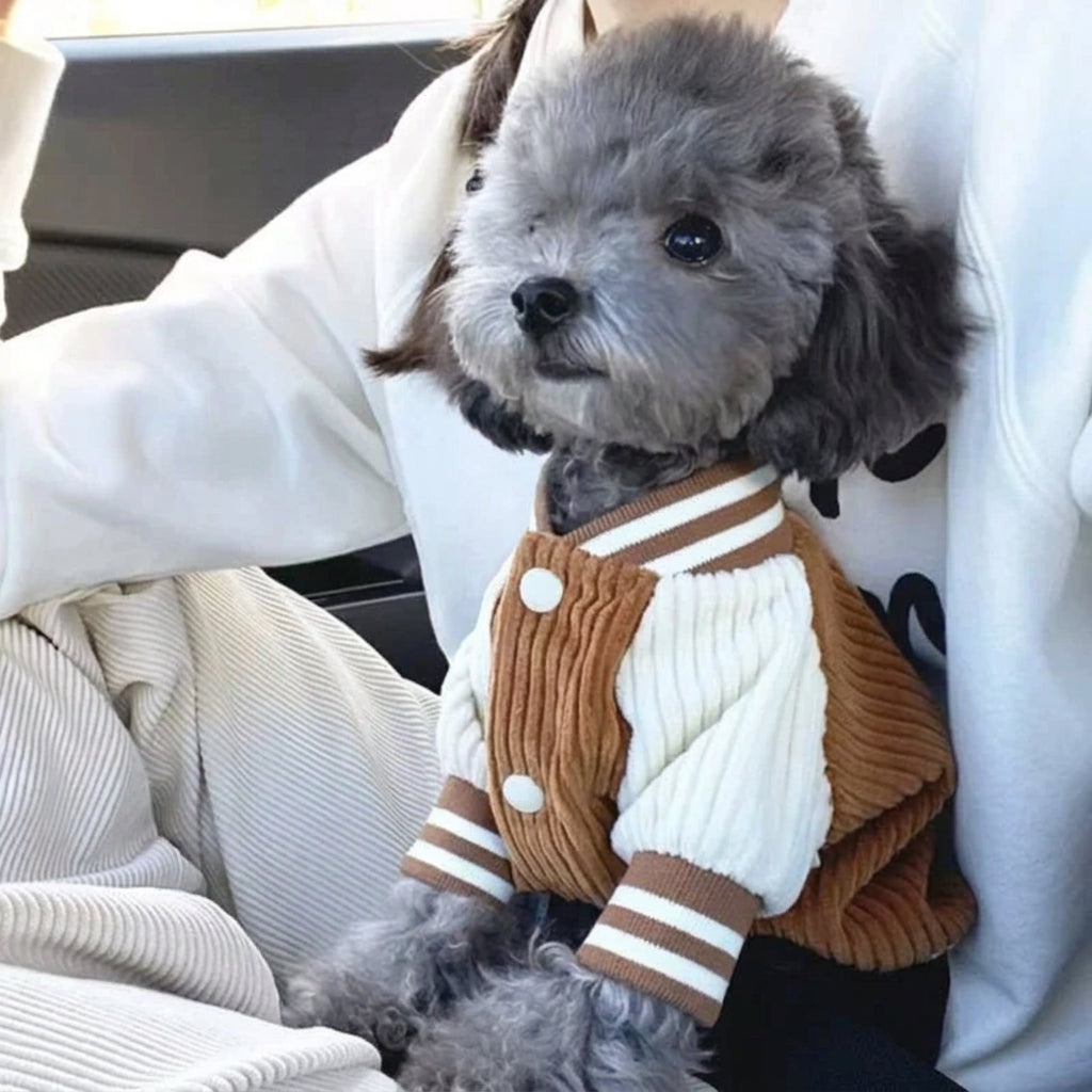 Chaqueta de Punto con Gorrita para Mascotas