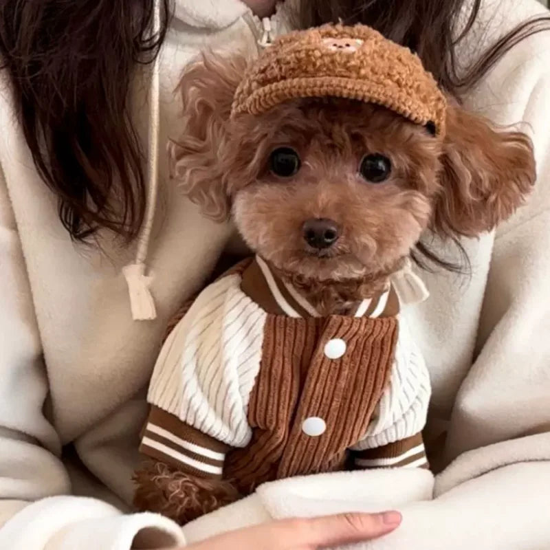Chaqueta de Punto con Gorrita para Mascotas
